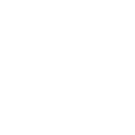 Wyndham Hotels